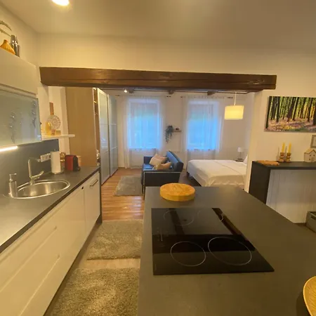 Mit Sauna Im Wienerwald - Appartamento