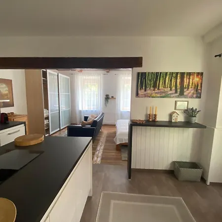Mit Sauna Im Wienerwald - Apartment Modling