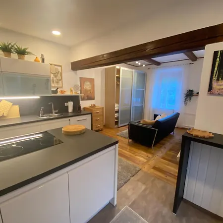 Mit Sauna Im Wienerwald - Apartamento *