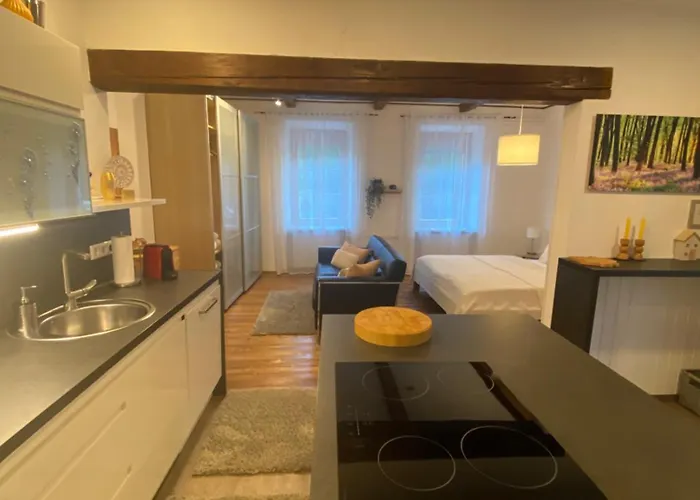 Mit Sauna Im Wienerwald - 아파트